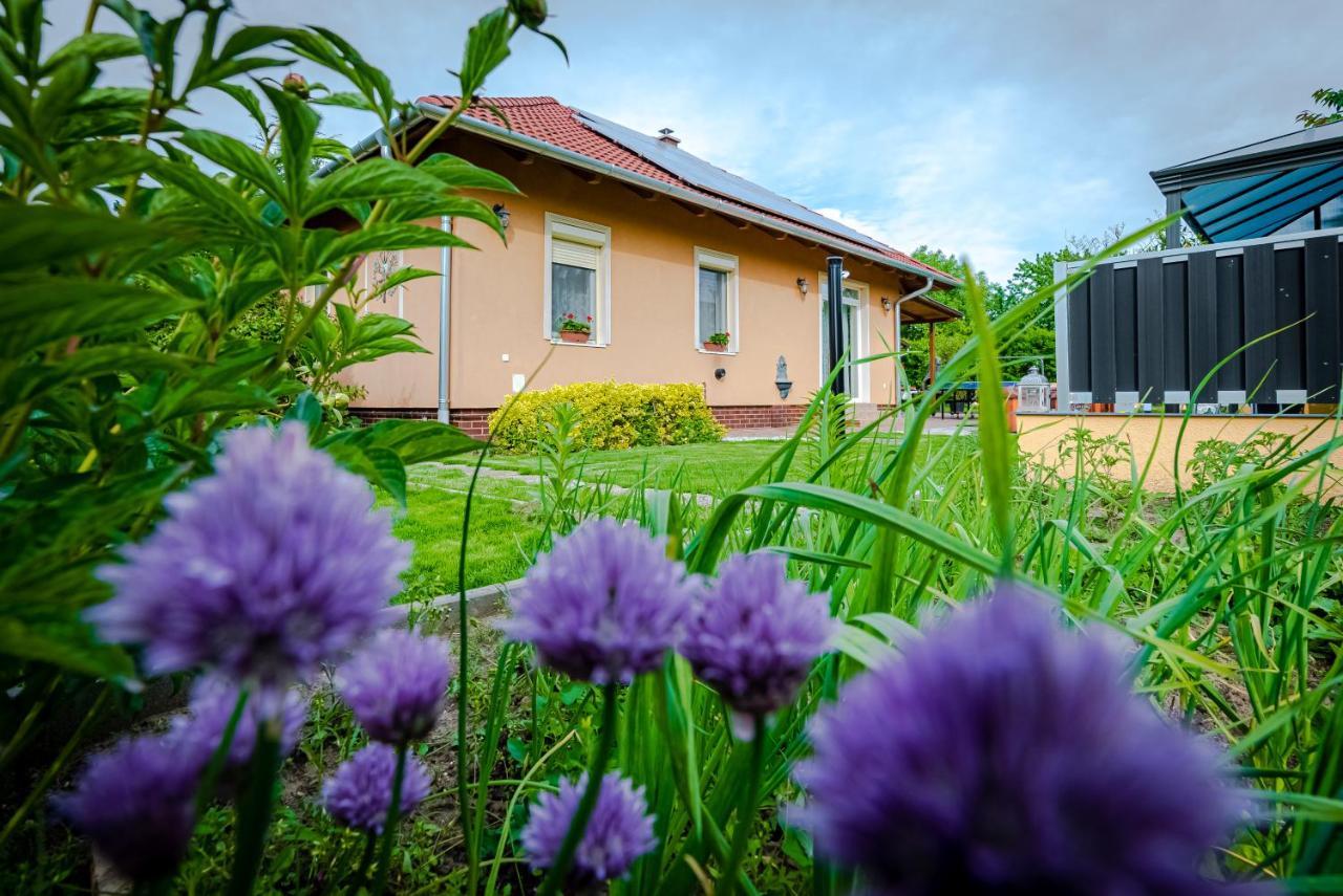 Sunny Garden Pihenohaz Villa Siófok Exterior foto